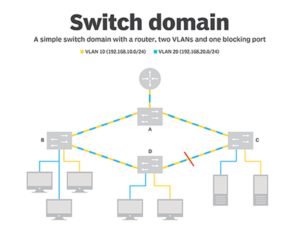 Switch Domain