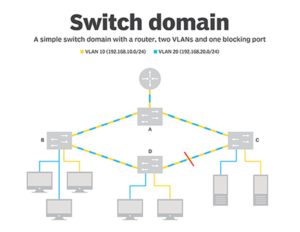 Switch Domain