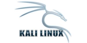 ابزار Kali Linux - ستاک فناوری ویرا
