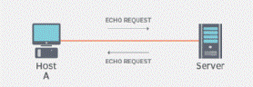 icmp echo request & reply